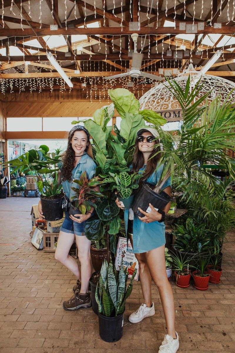 Master Nursery Carden Center – Wyntour Gardens