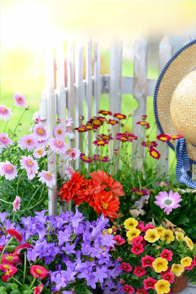 Start Your Outdoor Makeover by Landscaping – Wyntour Gardens